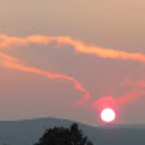 Meet your Posher, Nadia